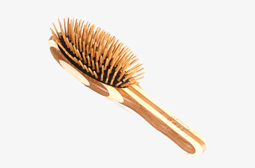 Bass Brushes, Cepillo Pequeño Para Cabello, Mango Y - Cepillo Para Cabello Con Cerdas Naturales, transparent png