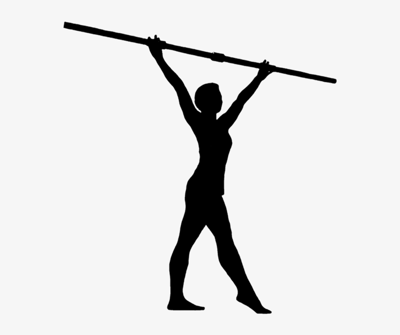 Fitness Cue Symmetry Range Of Motion Rom Flexibility - Physical Fitness, transparent png