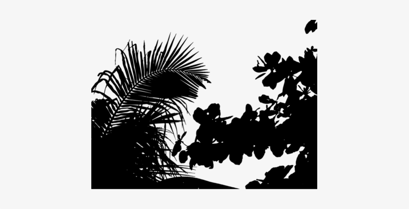 Silhouette Landscape Tropical Vegetation Sunset - Vegetation Silhouette, transparent png