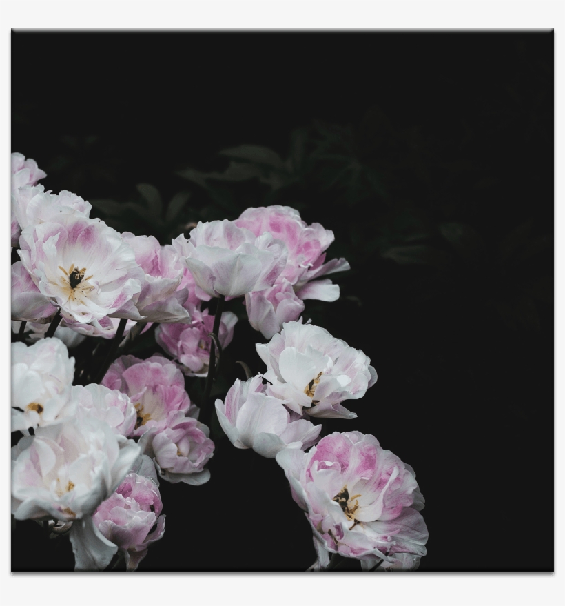 Blushing Blooms - Duvar Kağıdı Tumblr 2018, transparent png