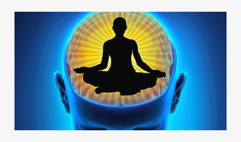 Mindfulness Training And Gray Matter - Yoga, transparent png