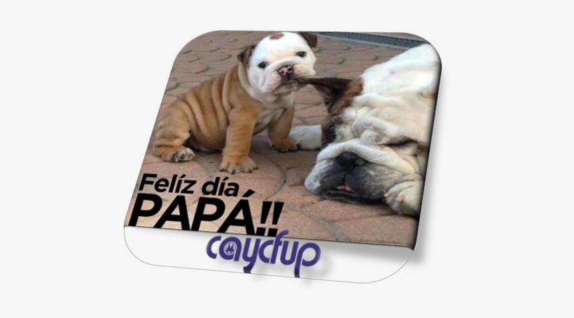 Play With Me Puppy, transparent png