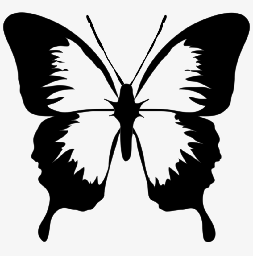 Monarch Butterfly Drawing Download Computer Icons - Butterfly Clip Art, transparent png