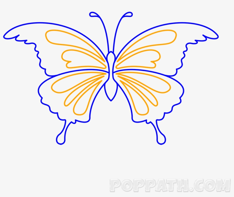 Play Slideshow - Swallowtail Butterfly, transparent png