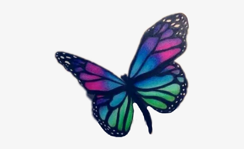 Drawing, transparent png