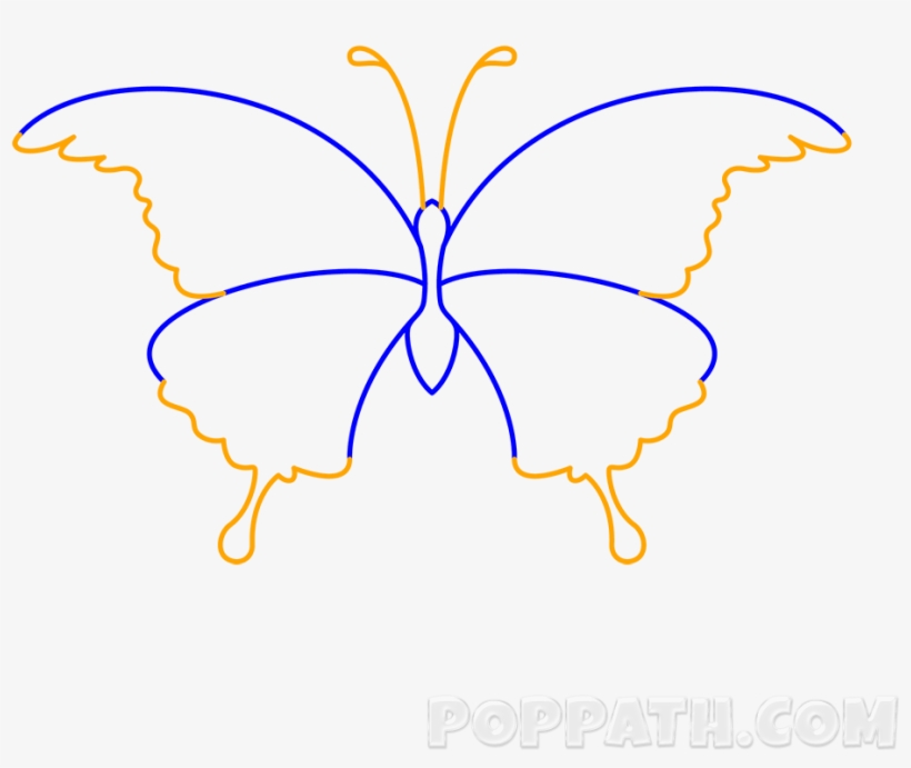 Play Slideshow - Swallowtail Butterfly, transparent png
