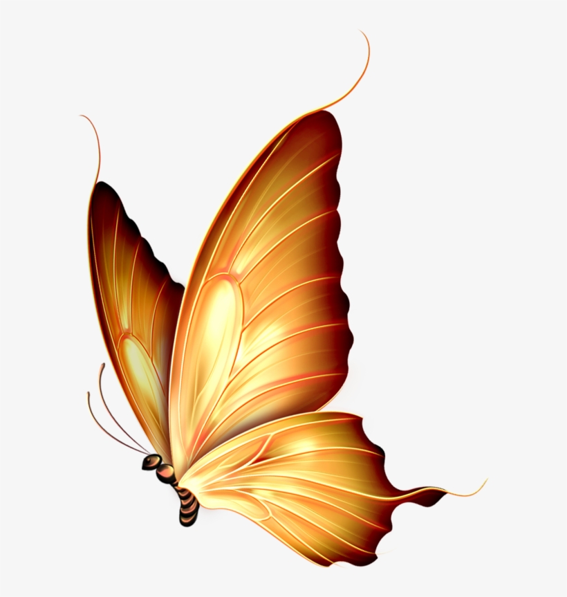 ‿✿⁀butterflies‿✿⁀ - Mariposa En Pintura De Tela, transparent png
