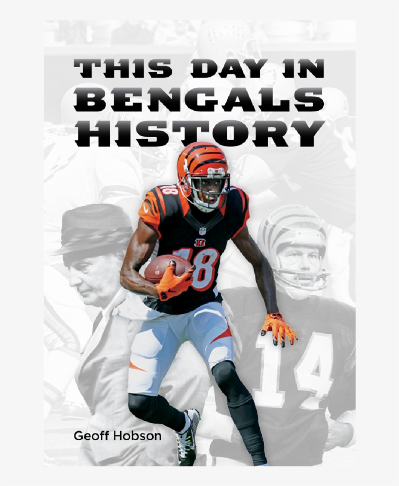 Bengals Square-16, transparent png