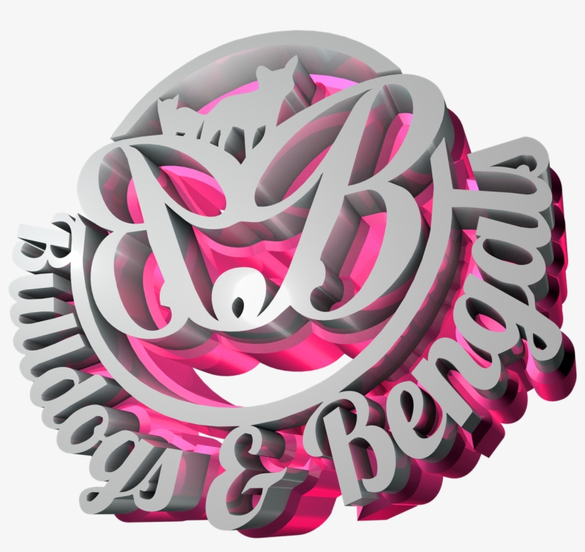B N B - Bengal Cat, transparent png