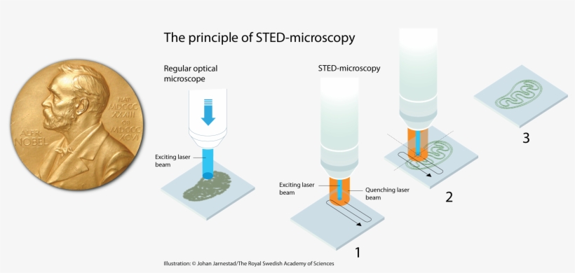 2014 Nobel Prize In Chemistry - Nobel Peace Prize 3.5" Button, transparent png