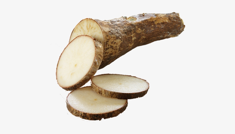 Yuca Png - Yucca Root Transparent, transparent png
