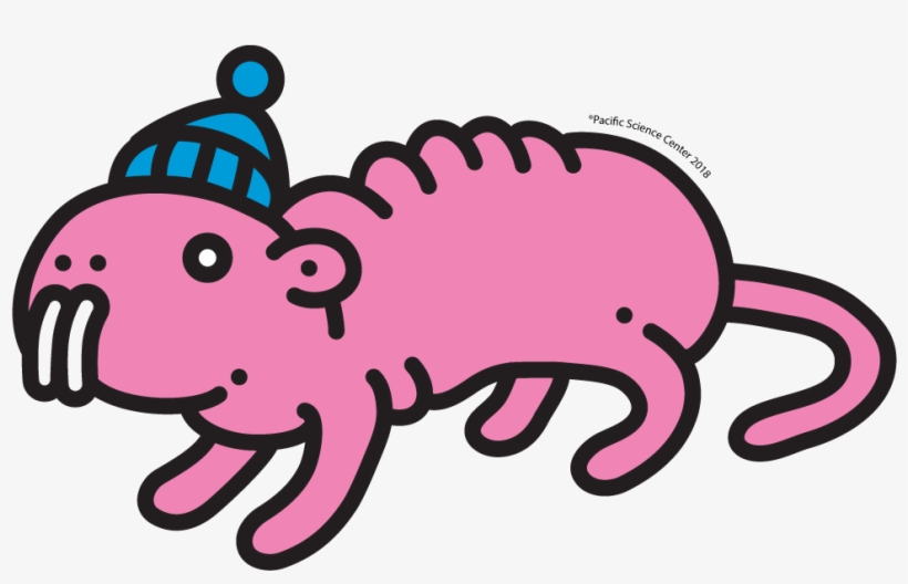 17 Jul, transparent png