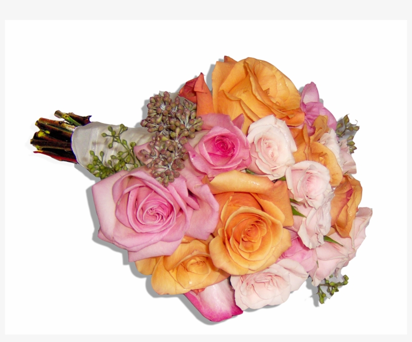 More Views - Floribunda, transparent png