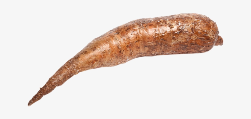 Product Group - Slug, transparent png