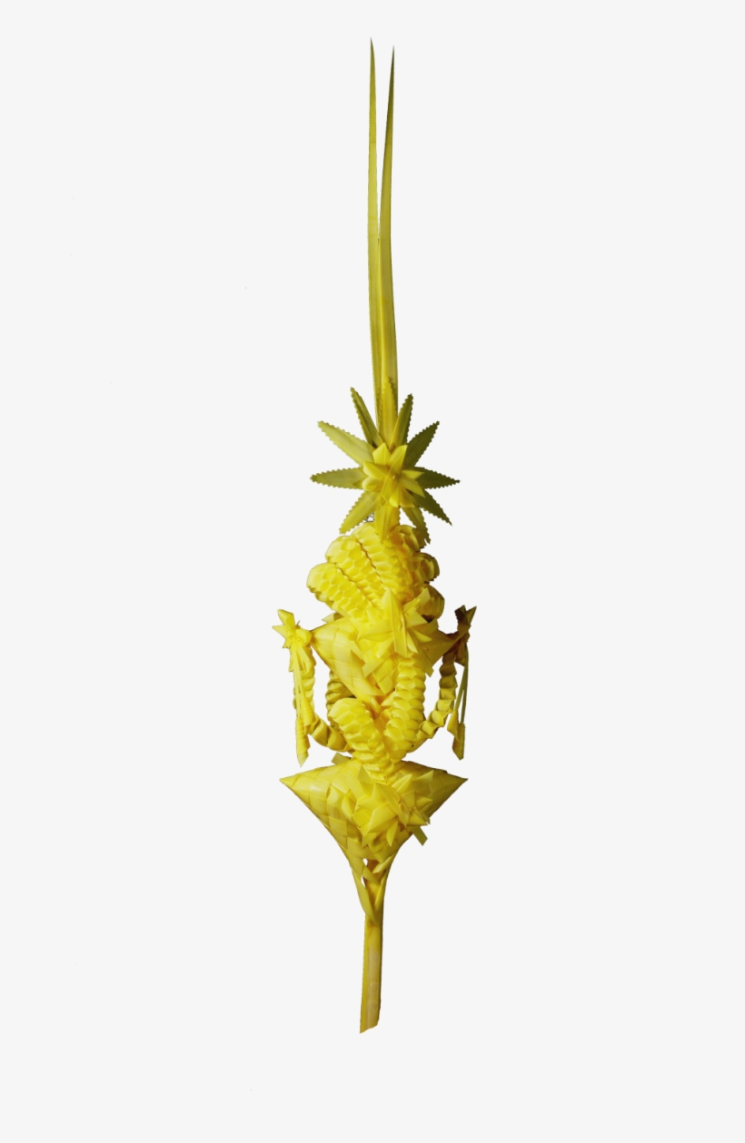 Inicio / Palmas Trabajadas - Heliconia, transparent png