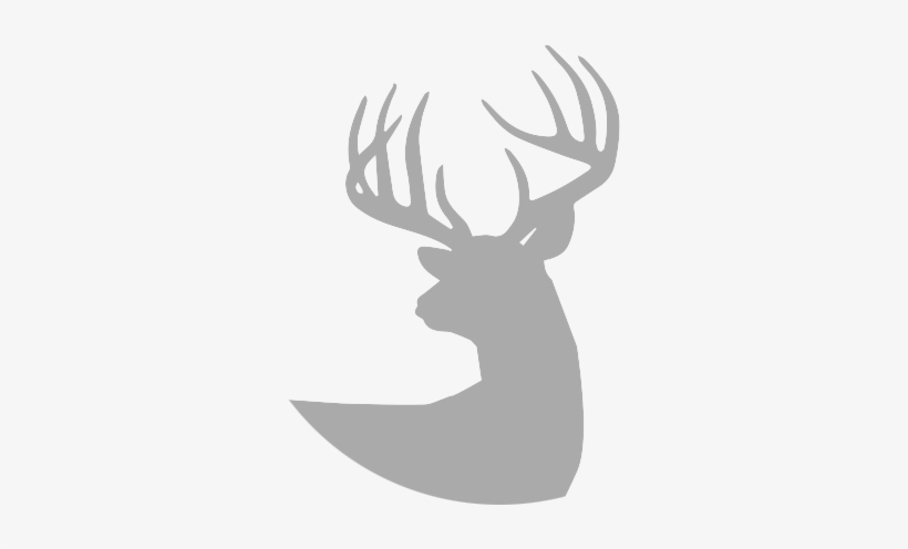 Hacienda De Las Palmas • Hunting And Fishing - Saw Blade Cut Outs, transparent png