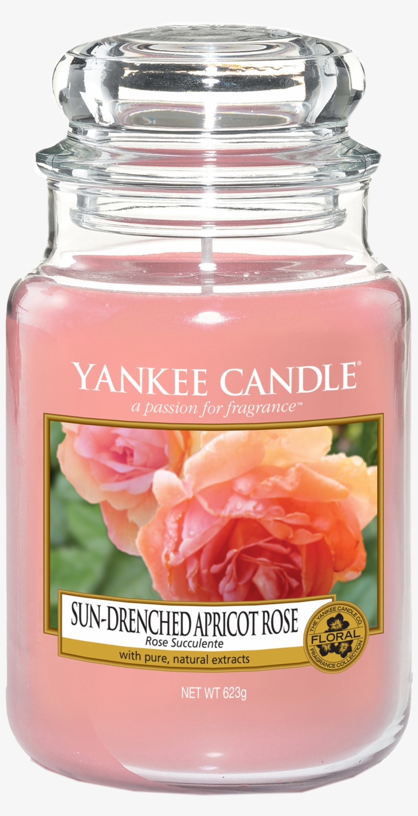 Rose Succulente Bougie Grande Jar Yankee Candle - Yankee Candle Crackling Wood Fire Classic Large Jar, transparent png
