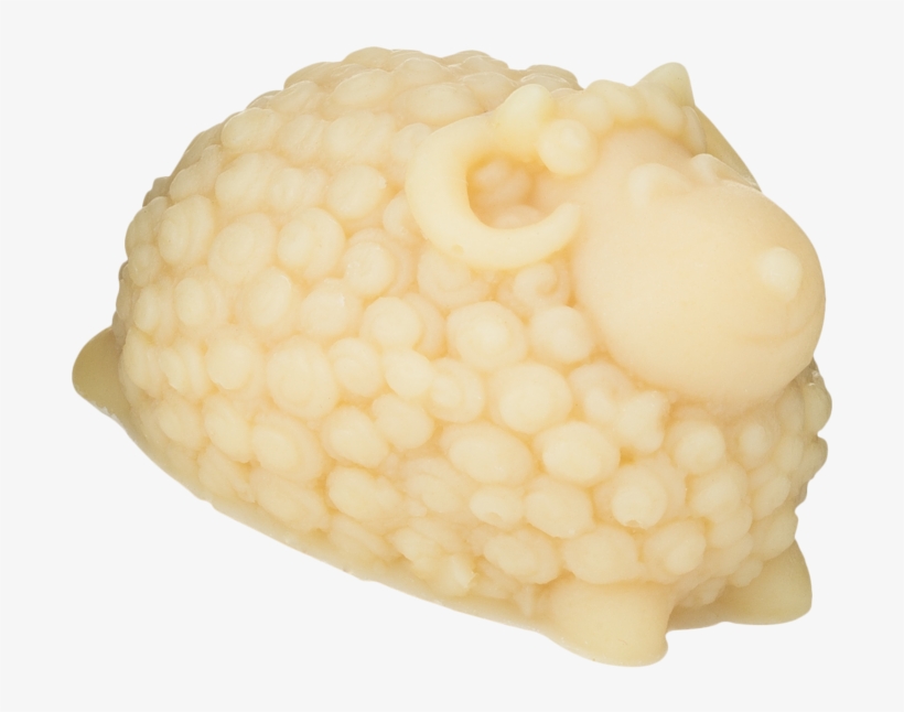 Shell, transparent png