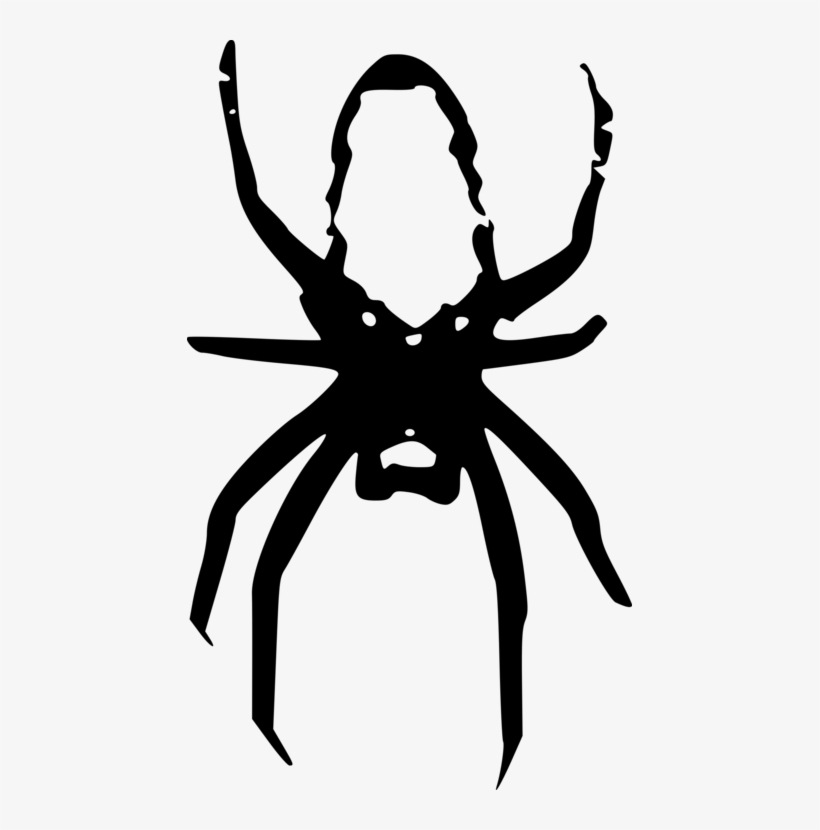 Spider Clipart Png - Spider, transparent png