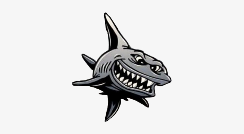 Charter Fishing In Beautiful Brunswick Ga ,,mad Shark - Mad Shark Charters, transparent png