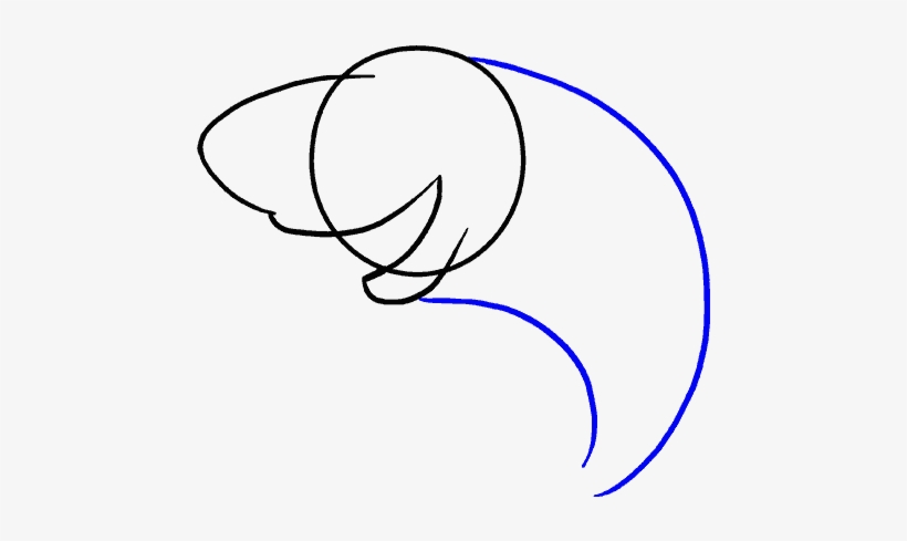 How To Draw Shark - Linea Del Tiempo, transparent png