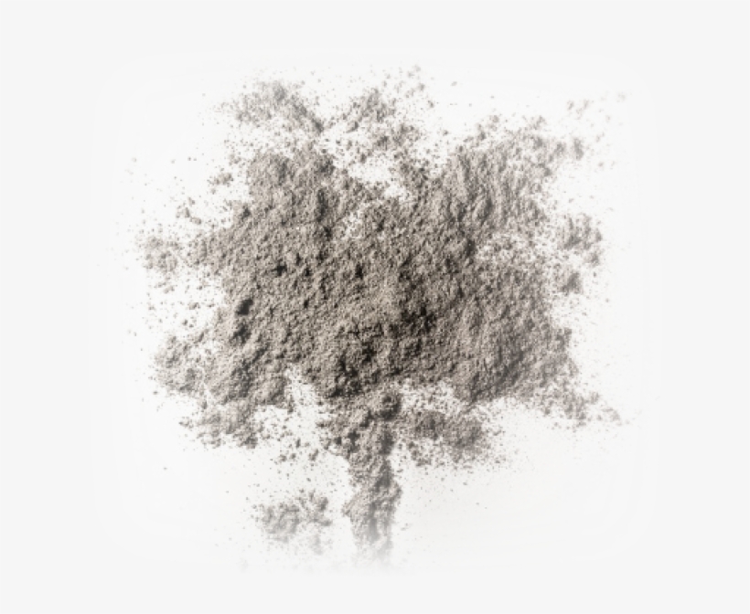 Silica Sand - Tree, transparent png