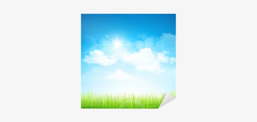 Grass, transparent png