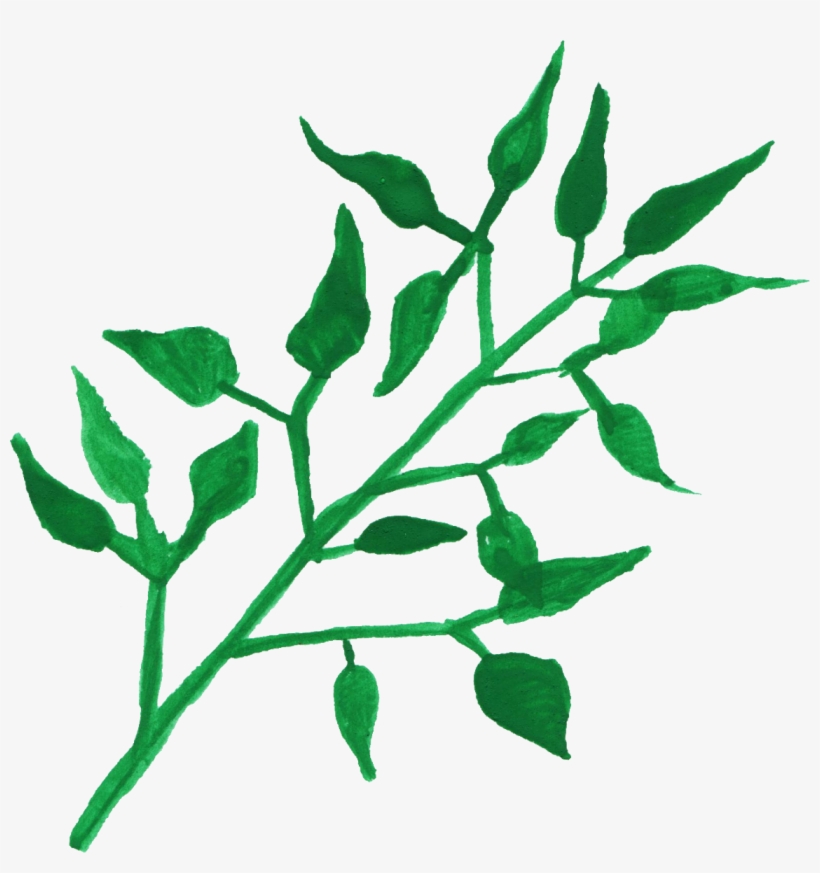 Free Download - Download, transparent png