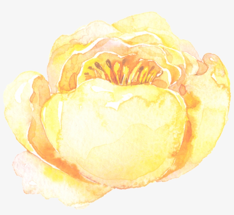 Transparent Ornamental For Ice And Yellow Stamens - Oil Painting, transparent png