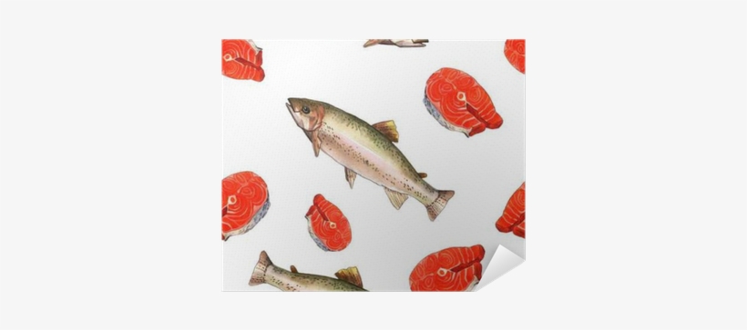 Sea Trout Fish - Watercolor Painting, transparent png