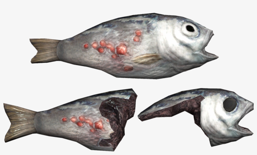 Fo4 Fish - Portable Network Graphics, transparent png
