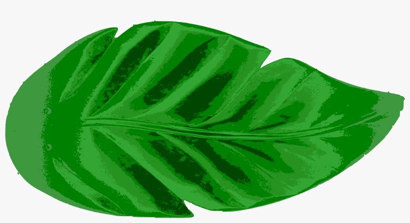 Leaf Tropics Earth Palm Branch Watercolor Painting - Clip Art Palm Leaf, transparent png