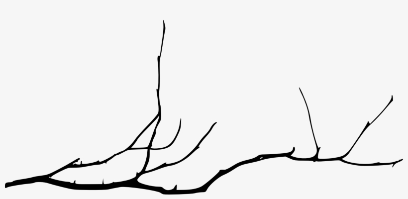Free Download - Bare Tree Branch Png, transparent png