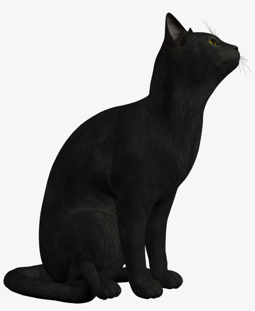 Black Cat Png Clipart - Black Cat Png, transparent png