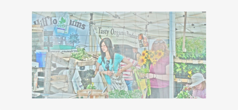 Floral Design, transparent png