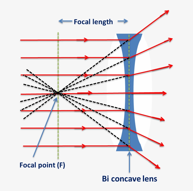 Diverging Light Rays - Lens, transparent png
