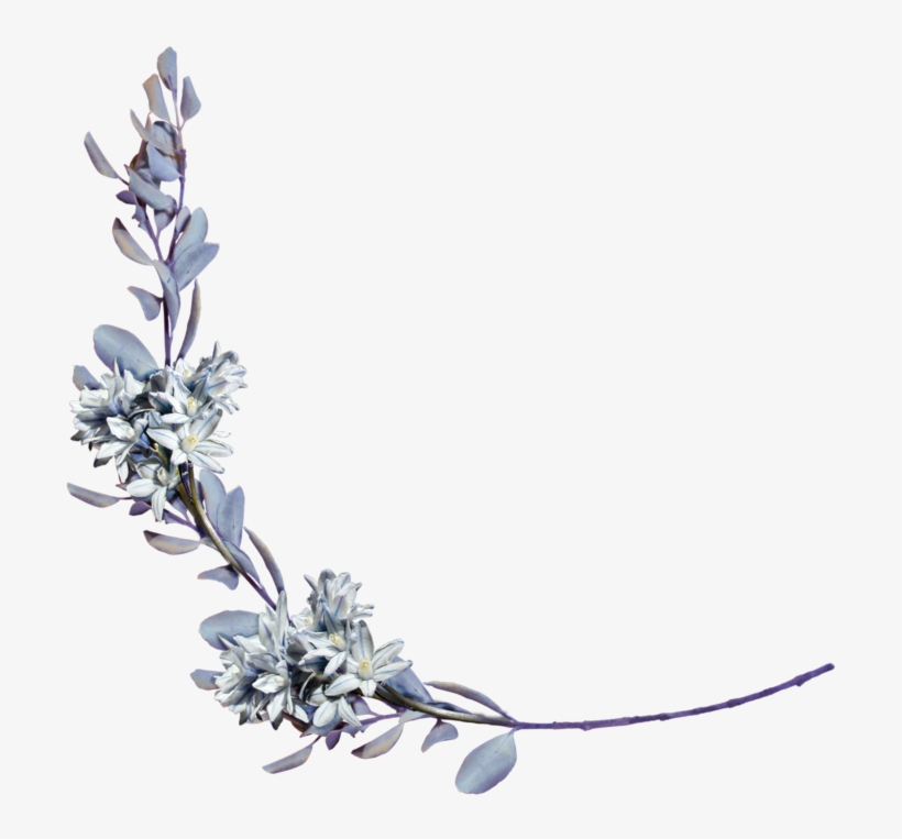 Vintage Flower Png, transparent png