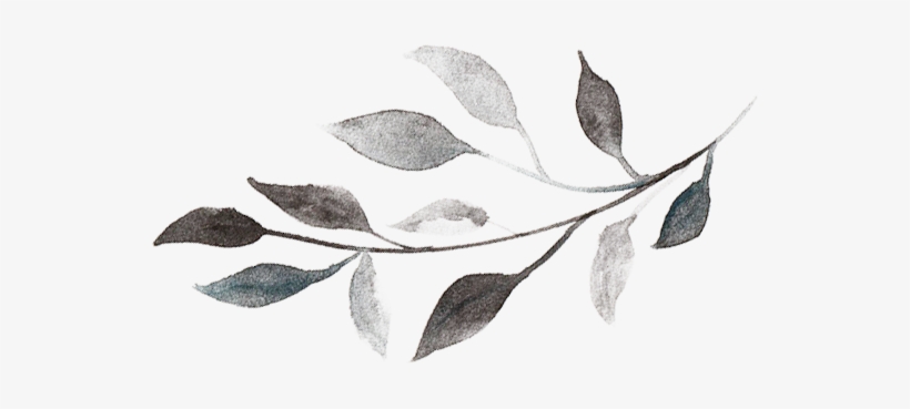 Svg Freeuse Branch Transparent Watercolor - Salam Jumaat Black And White, transparent png