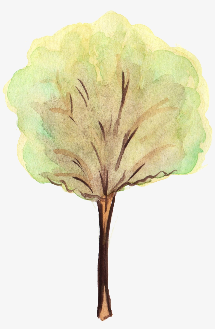 Free Download - Watercolor Tree Png, transparent png