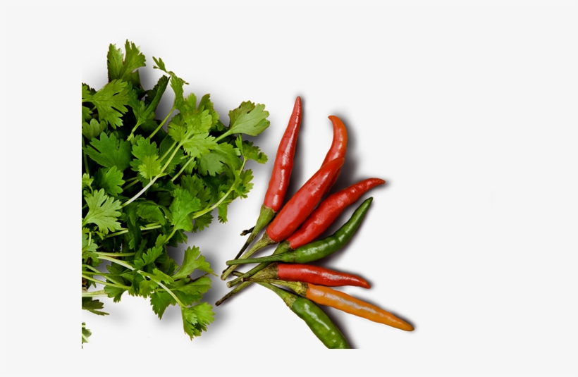Food Png High-quality Image - Food Png From Top, transparent png