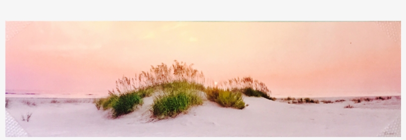 Grass Dune Panoramic Print - Printing, transparent png