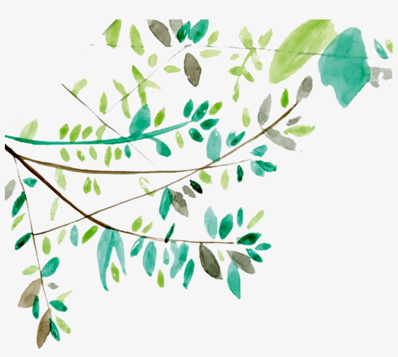 Ftestickers Watercolor Leaves Vines Greenery - Tree Branch Watercolor, transparent png