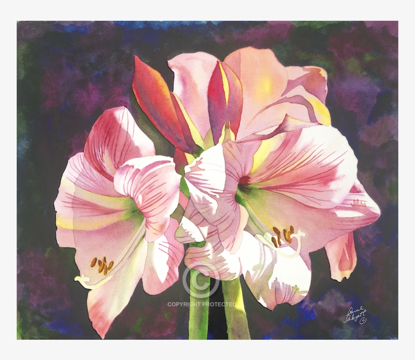 Graphic Download Anne Abgott World Renowned - Watercolor Painting, transparent png