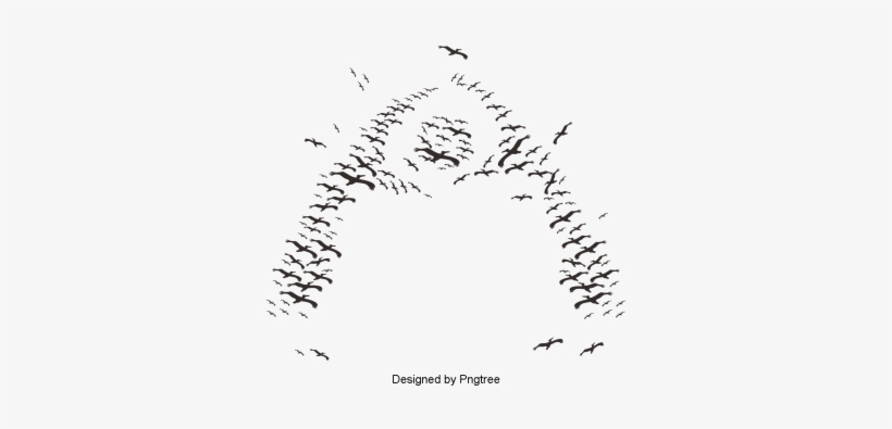 Hand Painted Black And White Birds Group Design Vector - White, transparent png