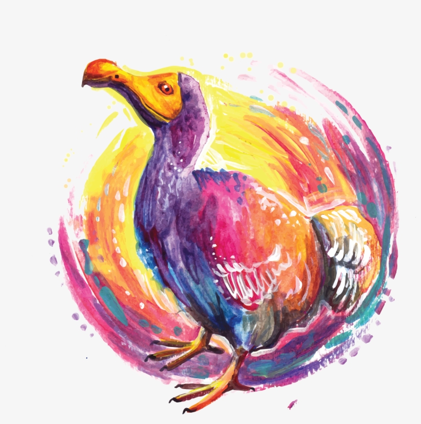 Flightless Bird, transparent png