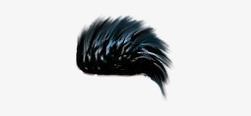 Png Hair Preview - Hooded Skunk, transparent png