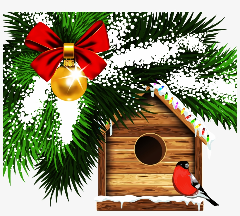 Transparent Bird House Png - Christmas Bird Clip Art, transparent png