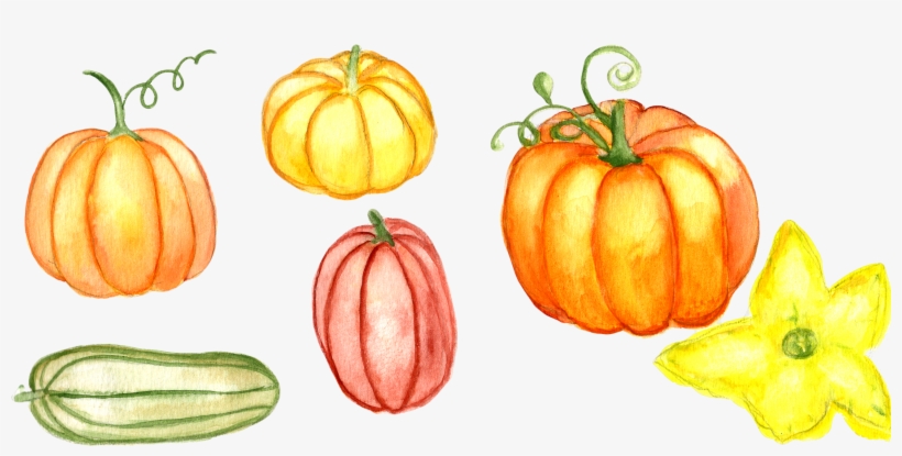 Watercolor Pumpkin Clipart Example Image Watercolor Painting 2623x1216 Png Download Pngkit
