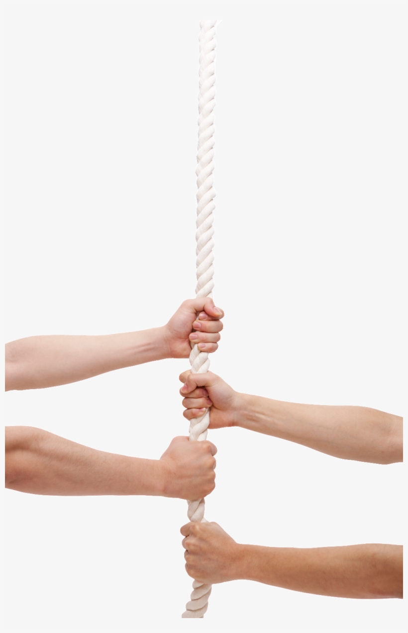 Hand Pull Rope To Separate Rope Vector Rope 1024x1539 PNG Download