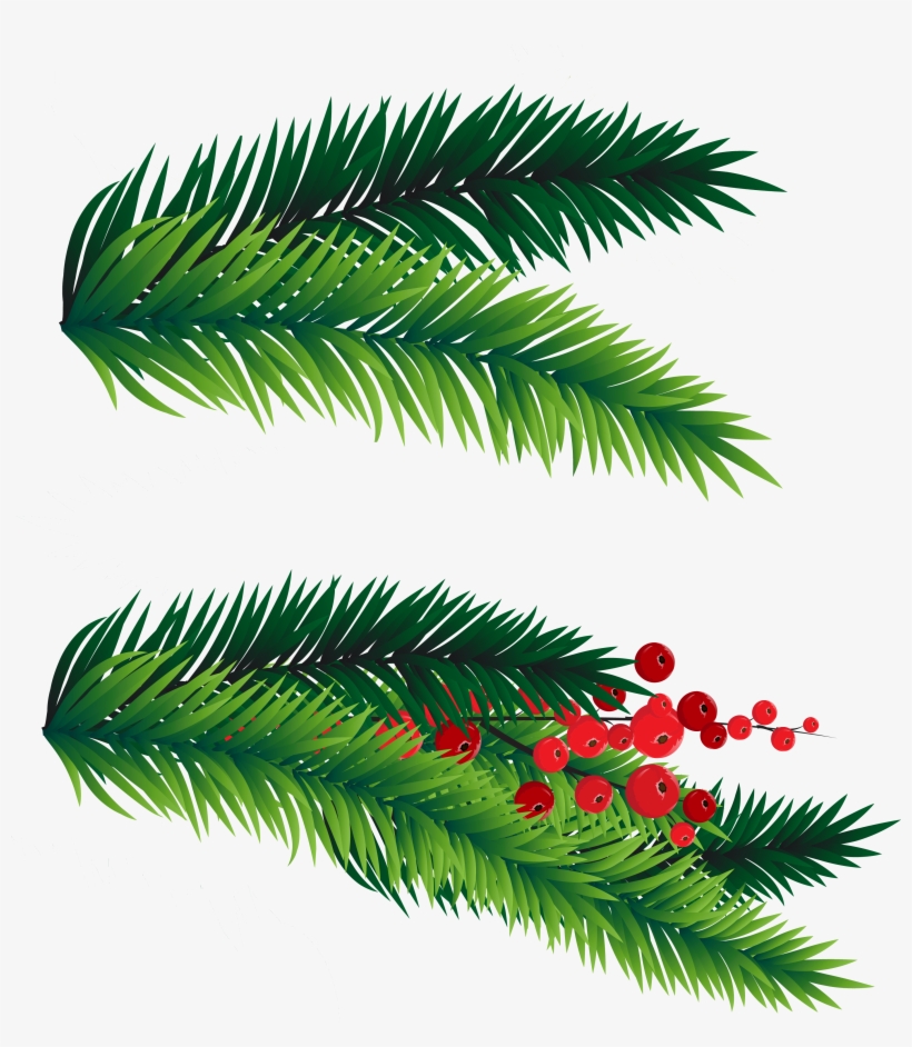 28 Collection Of Christmas Tree Branches Clipart Christmas Tree